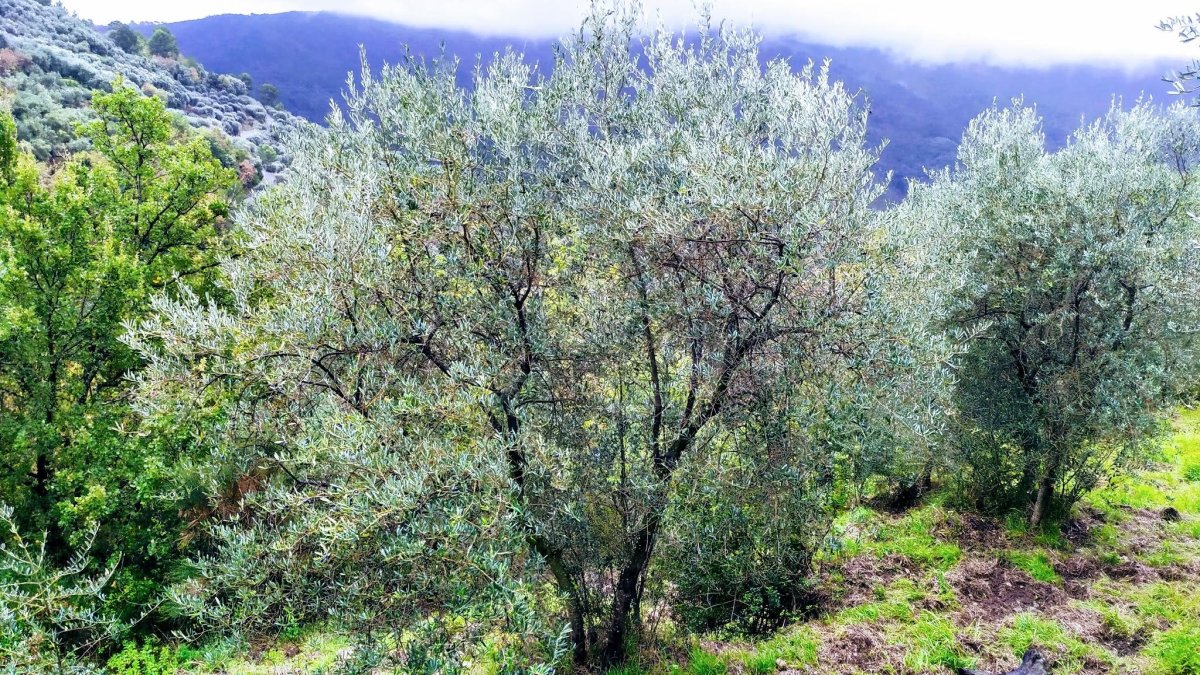 Nuvole in montagna e sereno verso il mare